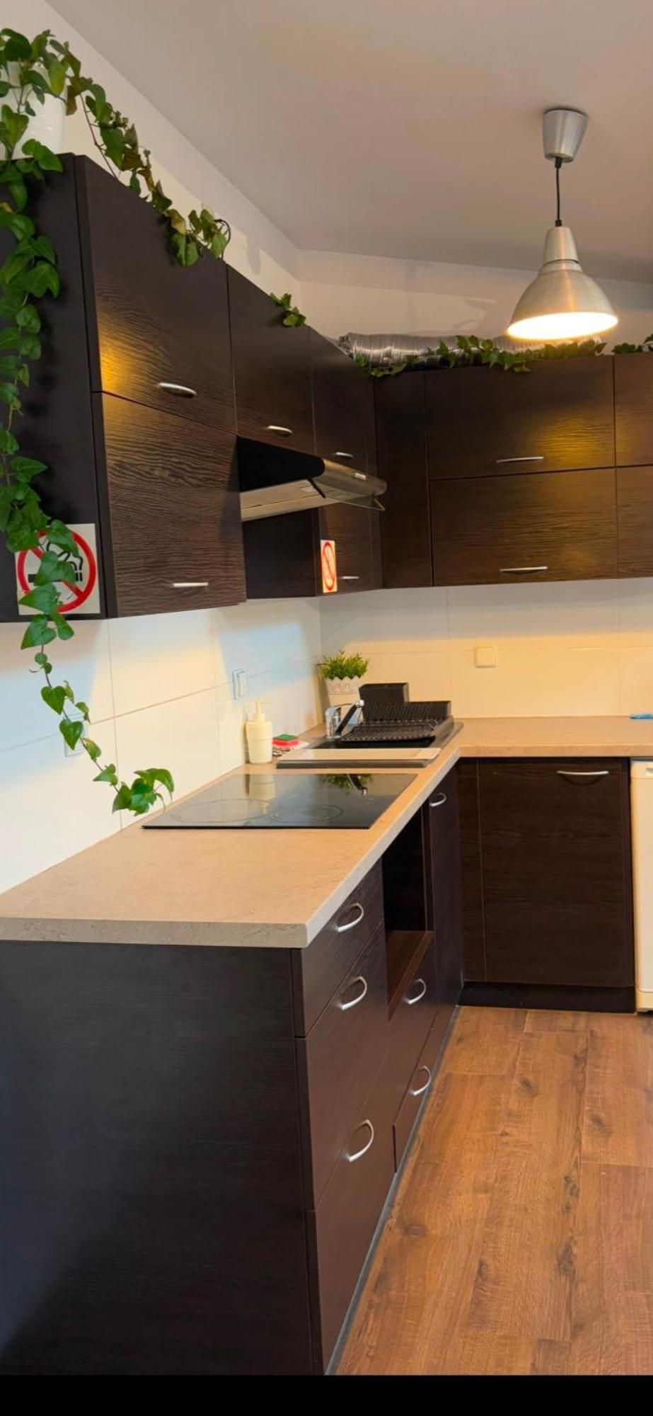 Apartament Szafir 4B Rzeszow Dış mekan fotoğraf